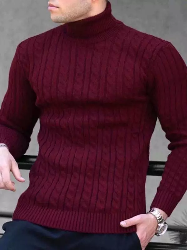 Casual Tight Stretch Men Sweater Turtleneck