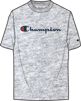 Champion Classic Graphic Short Sleeve T-Shirt