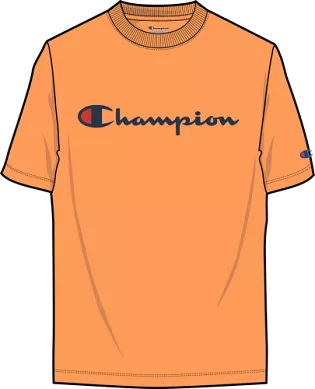 Champion Classic Graphic Short Sleeve T-Shirt