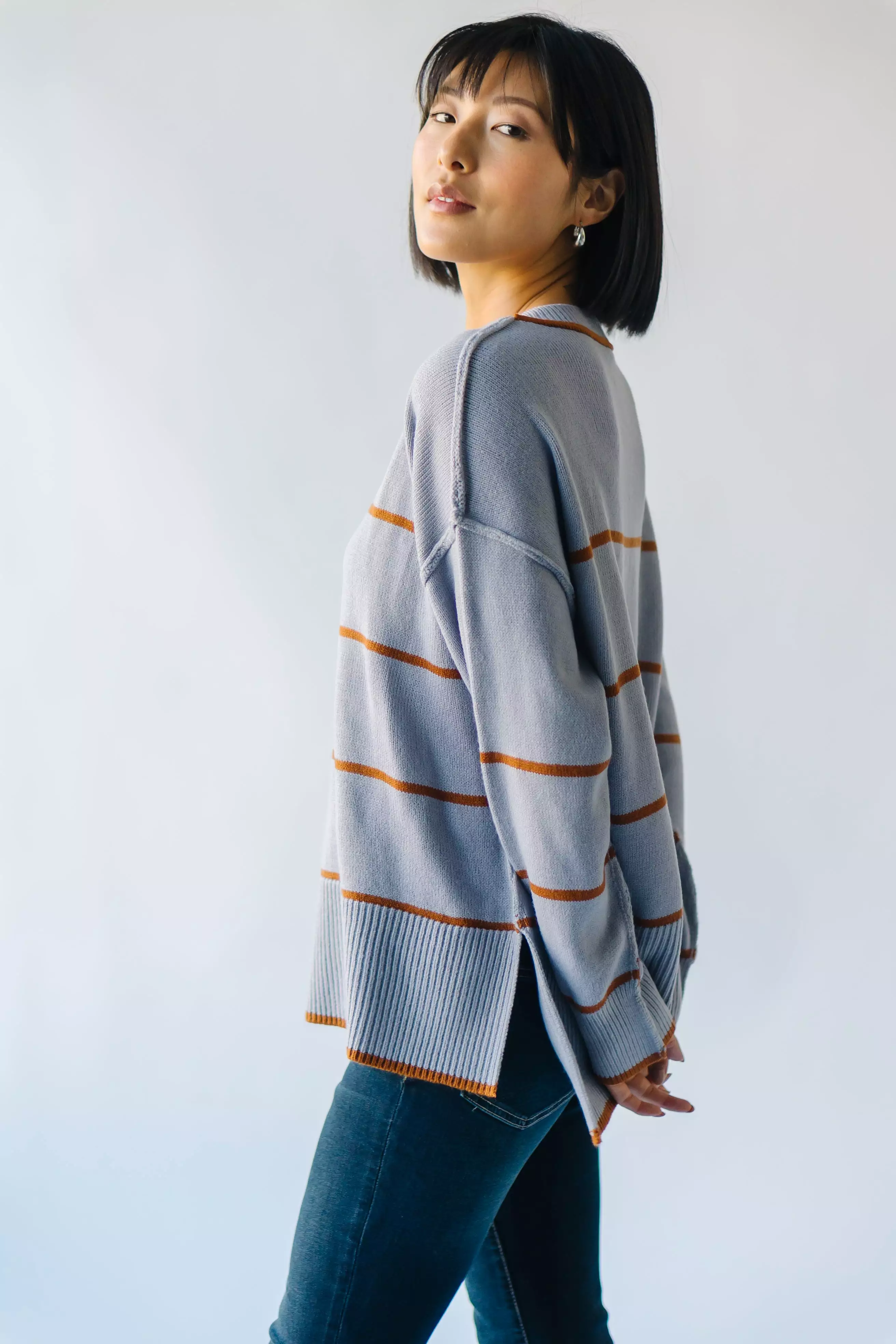 The Borden Striped Sweater in Blue + Tan